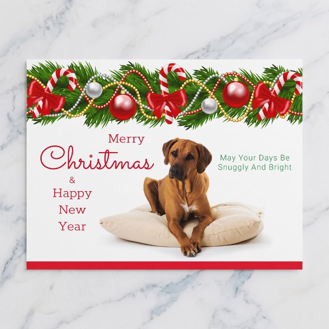 Tarjeta de Navidad con Rhodesian Ridgeback (Rhodesian Ridgebacks make the season bright.)