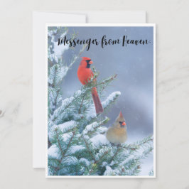 Tarjeta de Navidad con un Cardenal Rojo