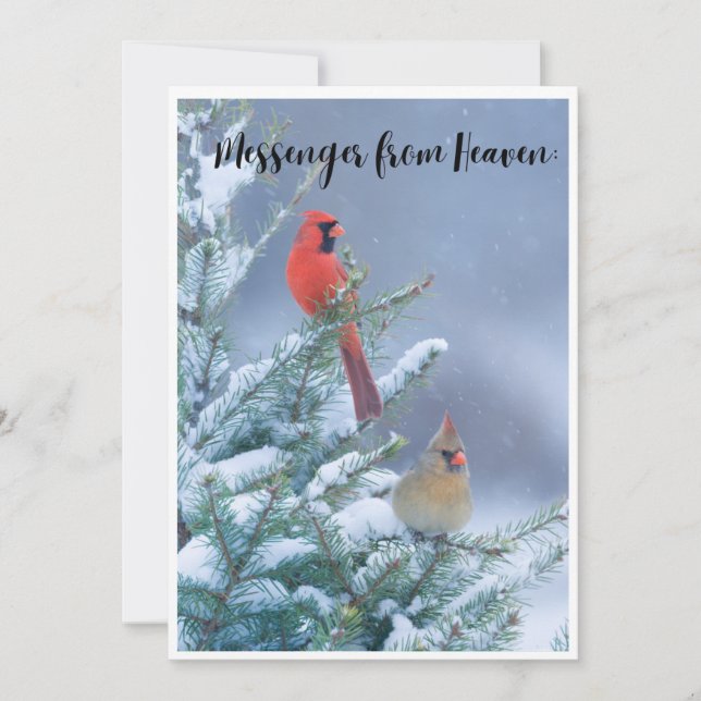 Tarjeta de Navidad con un Cardenal Rojo (Anverso)