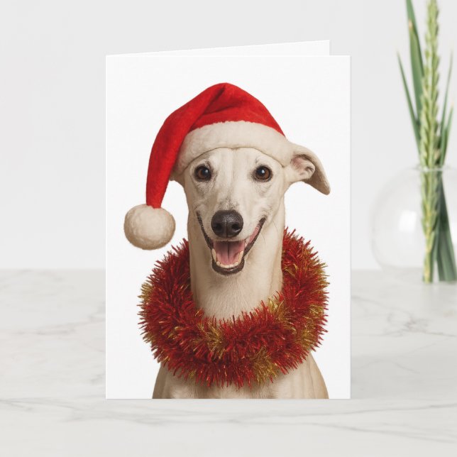 Tarjeta de Navidad con Whippet con sombrero de San (Anverso)