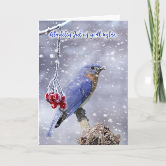 tarjeta de Navidad danesa - pájaro azul con las (Anverso)
