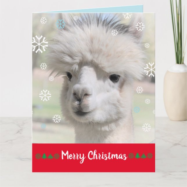 Tarjeta de Navidad de Alpaca de Nieve (Anverso)