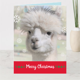 Tarjeta de Navidad de Alpaca de Nieve