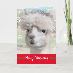 Tarjeta de Navidad de Alpaca de Nieve