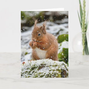 Tarjeta de Navidad de ardilla en la nieve