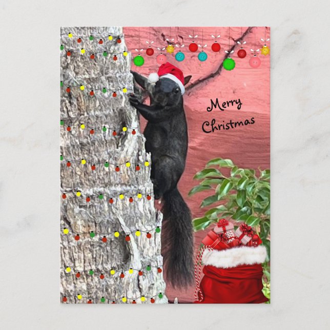 Tarjeta de Navidad de Ardilla Negra (Anverso)