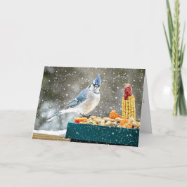 Tarjeta de Navidad de arrendajo azul de Navidad