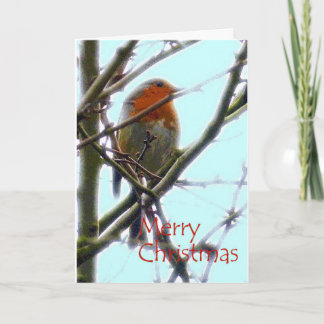 tarjeta de Navidad de arte gráfico de Robin