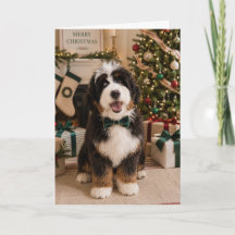 Tarjeta de Navidad de Bernedoodle