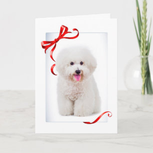 Tarjeta de Navidad de Bichon