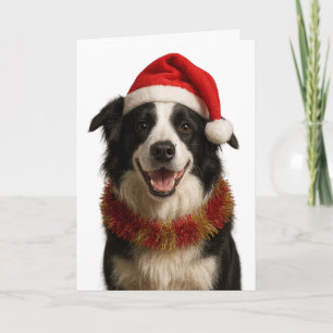 Tarjeta de Navidad de Border Collie en blanco y ne