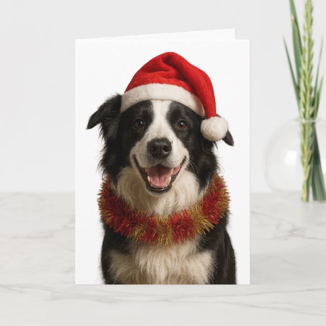 Tarjeta de Navidad de Border Collie en blanco y ne (Anverso)