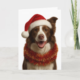 Tarjeta de Navidad de Border Collie roja y blanca