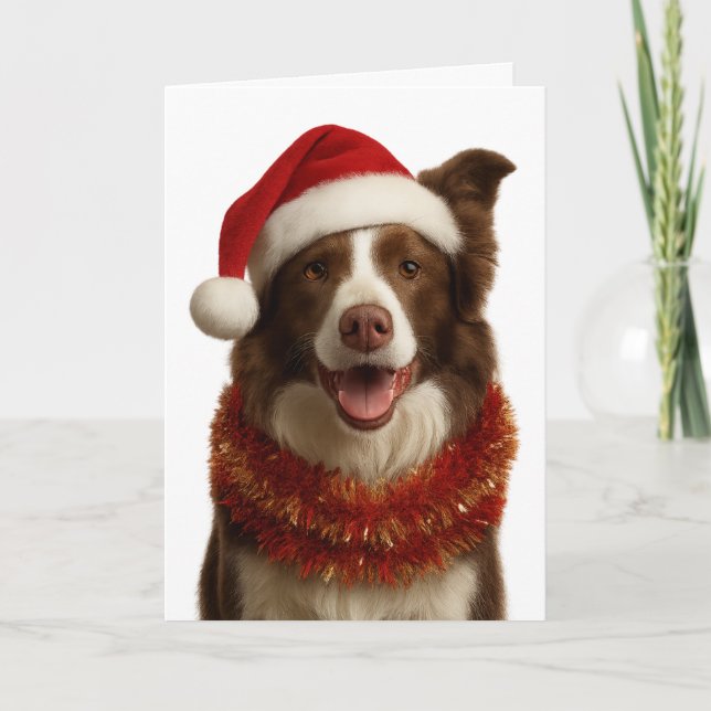 Tarjeta de Navidad de Border Collie roja y blanca (Anverso)