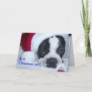 Tarjeta de Navidad de Boston Terrier