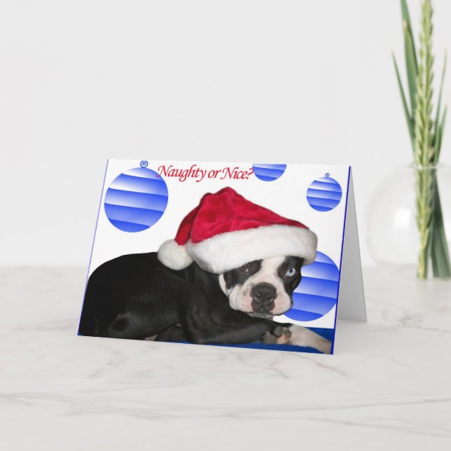 Tarjeta de Navidad de Boston Terrier (Anverso)