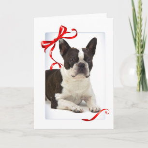 Tarjeta de Navidad de Boston Terrier