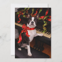 Tarjeta de Navidad de Boston Terrier – Fiesta Navi