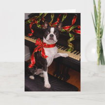 Tarjeta de Navidad de Boston Terrier – Fiesta Navi