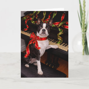 Tarjeta de Navidad de Boston Terrier – Fiesta Navi