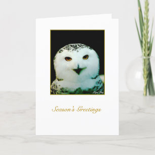 Tarjeta de Navidad de Búho Nival - '... La Belleza