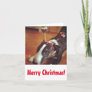 Tarjeta de Navidad de bull terrier