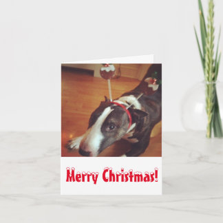 Tarjeta de Navidad de bull terrier