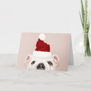 TARJETA DE NAVIDAD DE BULLDOG CON GORRO DE PAPÁ NO