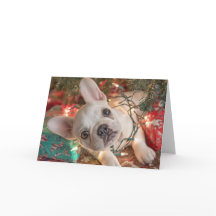 Tarjeta de Navidad de Bulldog Francés - Cachorro e