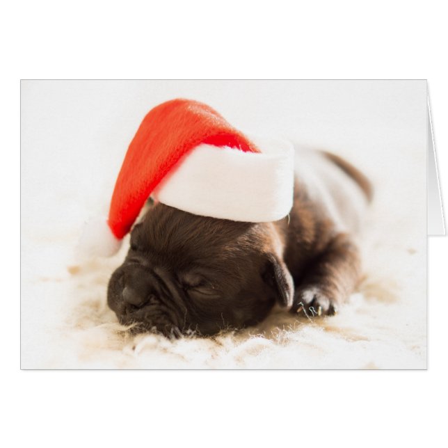 Tarjeta de Navidad de cachorro de bulldog soñolien (Anverso (Horizontal))