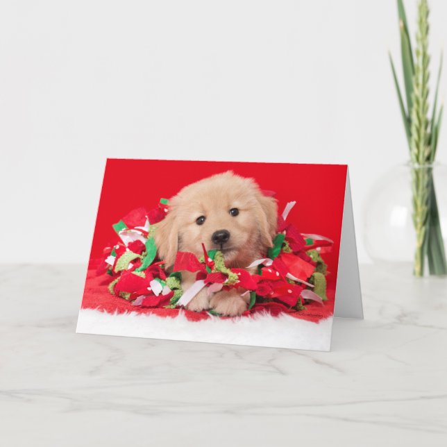 Tarjeta de Navidad de Cachorro de Golden Retriever (Anverso)