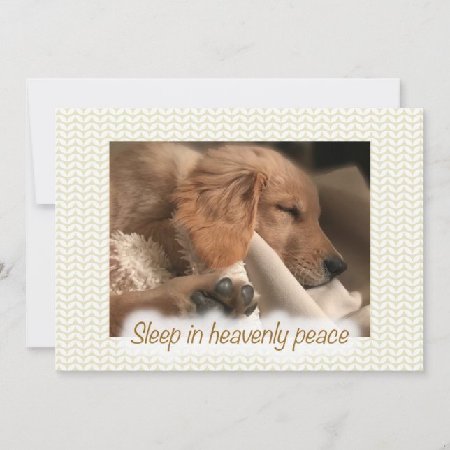 Tarjeta de Navidad de Cachorro Pacífico Dorado (Anverso)