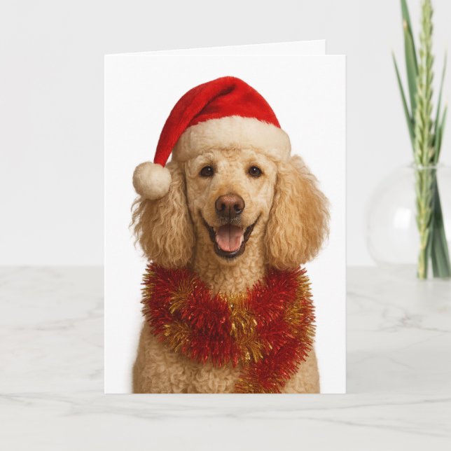 Tarjeta de Navidad de Caniche (Anverso)