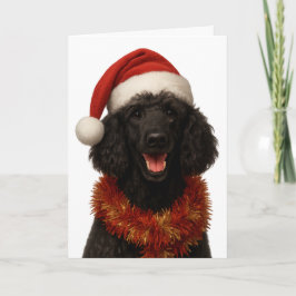 Tarjeta de Navidad de Caniche negro lindo