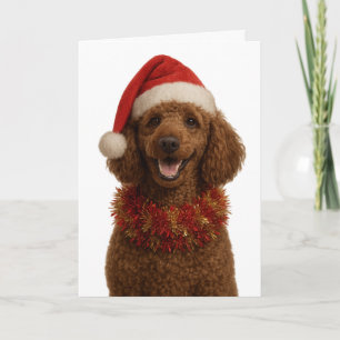 Tarjeta de Navidad de Caniche rojo / marrón lindo