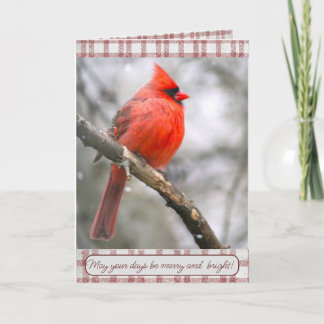 Tarjeta de Navidad de Cardenal