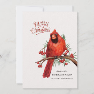 Tarjeta de Navidad de Cardenal Rojo en Rama de Bay