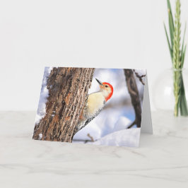 Tarjeta de Navidad de Carpintero de Vientre Rojo