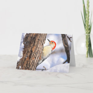 Tarjeta de Navidad de Carpintero de Vientre Rojo