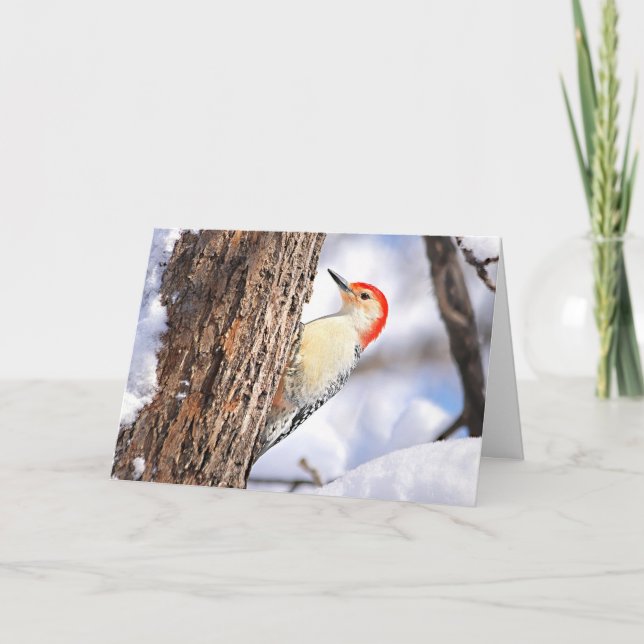 Tarjeta de Navidad de Carpintero de Vientre Rojo (Anverso)