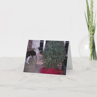 Tarjeta de Navidad de Cassie