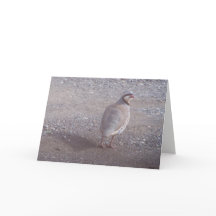 Tarjeta de Navidad de Chukar