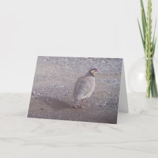 Tarjeta de Navidad de Chukar