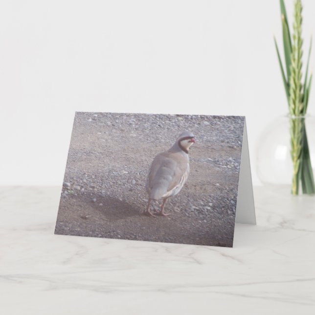 Tarjeta de Navidad de Chukar (Anverso)