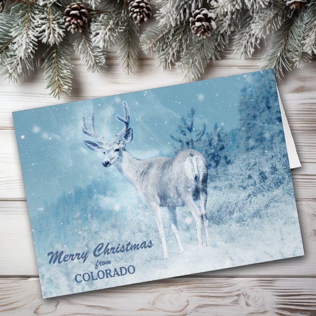 Tarjeta de Navidad de ciervos de Colorado (Subido por el creador)