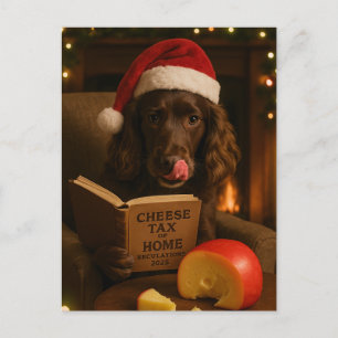 Tarjeta de Navidad de cocker spaniel de chocolate