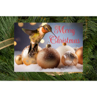Tarjeta de Navidad de Colibrí