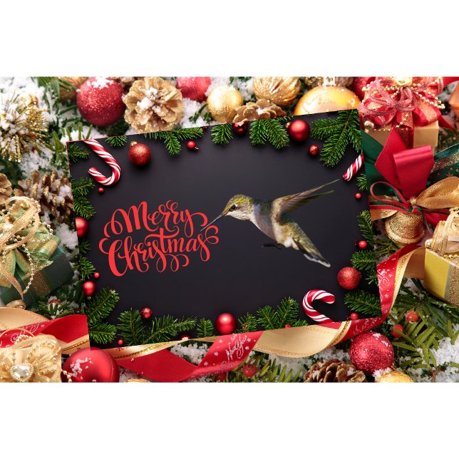 Tarjeta de Navidad de Colibrí (Subido por el creador)