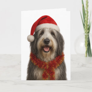 Tarjeta de Navidad de Collie barbudo con sombrero 