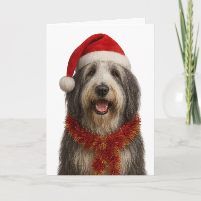 Tarjeta de Navidad de Collie barbudo con sombrero  (Anverso)